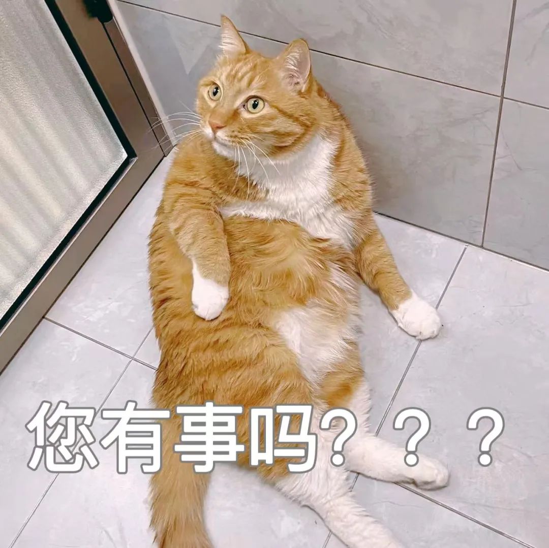 DƬ
